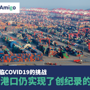 尽管面临COVID19的挑战 中国港口仍实现了创纪录的增长