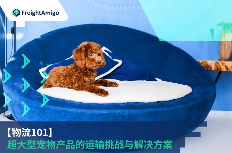 超大型宠物产品